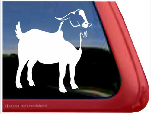 Boer goat window decal - boer,