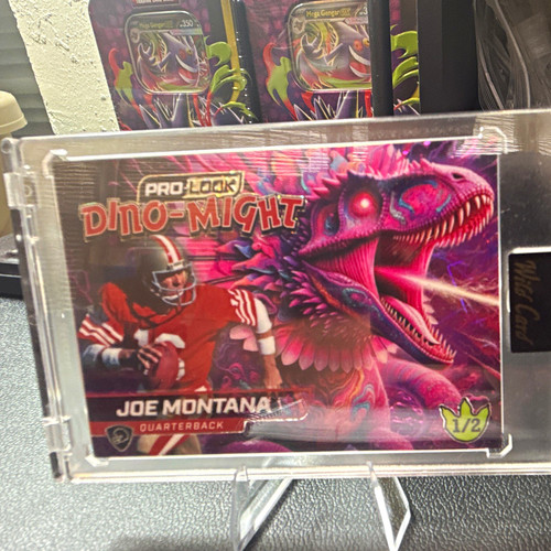Wild card pro - card, joe