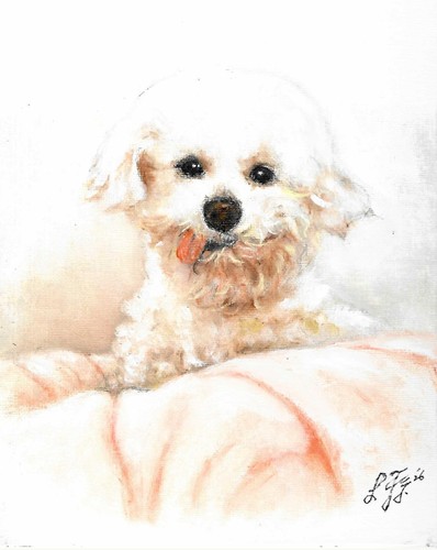 Original oil dog portrait - ✤,