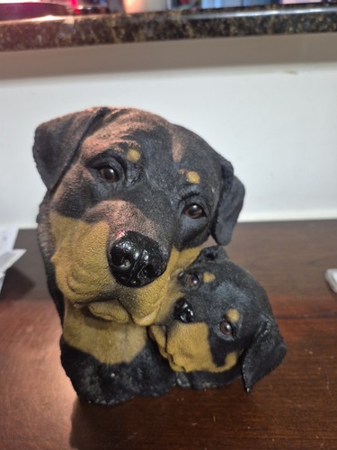 Living stone mom rottweiler - mom,