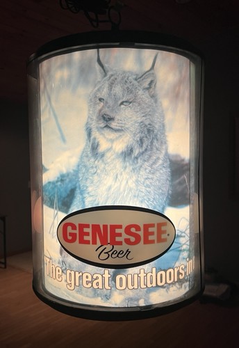 Rare vintage genesee beer - rare,