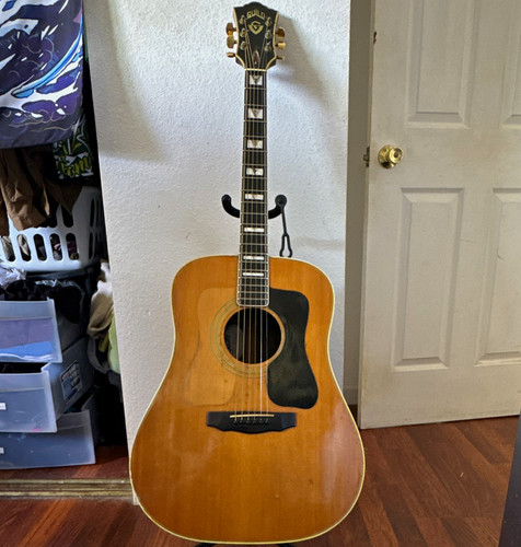 Guild 55nt 1980 rhode - guild, d-55nt