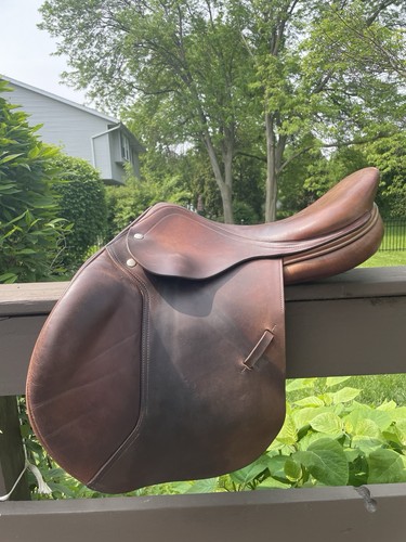 Amerigo equipe belle - amerigo, la