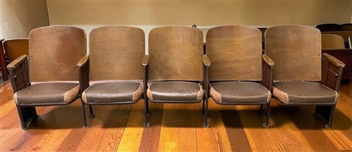Padded folding theater - folding,