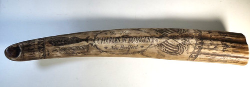 Scrimshaw walrus tusk charles - tusk,