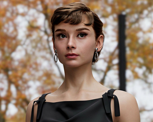 Audrey hepburn 10 - x,