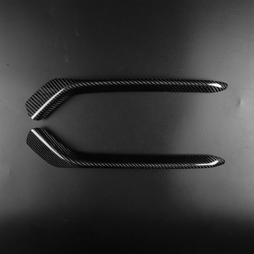 Real carbon fiber front fog - fiber,