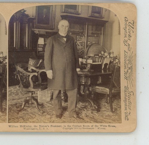 President mckinley standing - president,