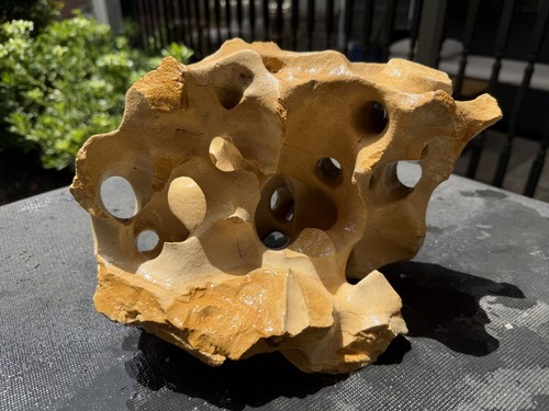 Holey rock aquarium - holey,