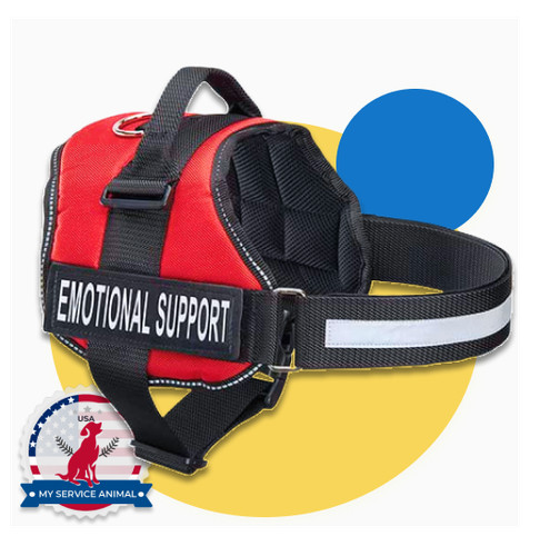 Emotional support animal - support,