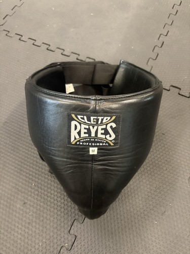 Cleto reyes boxing groin - cleto,