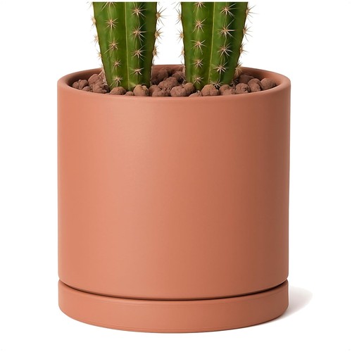 Large inch terracotta - 10,