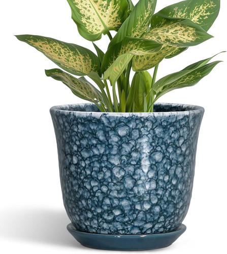 Ceramic pots for plants - for, 5.6
