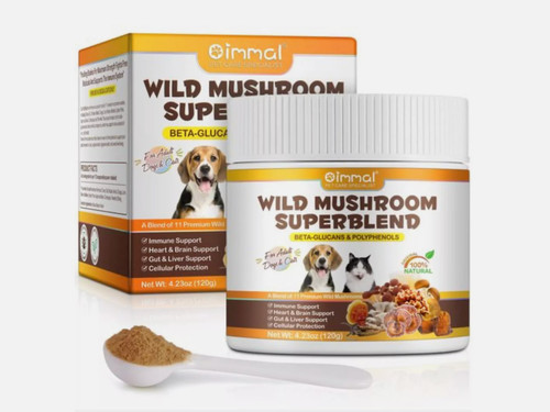 11in1 wild mushroom superblend - 11in1,