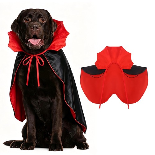 Halloween dog vampire - dog,