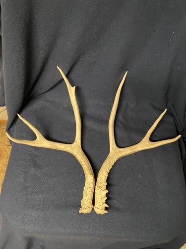 Heavy matched 3x3 set mule - heavy,