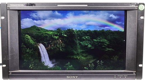Sony bvm f170a - sony, oled