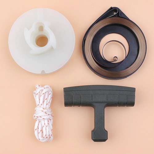 Recoil starter spring pulley - spring,