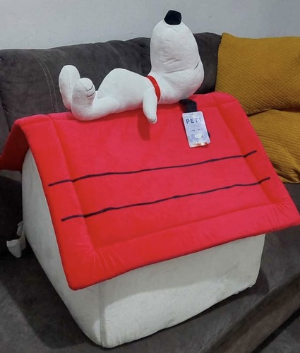 Rare miniso snoopy - miniso, house