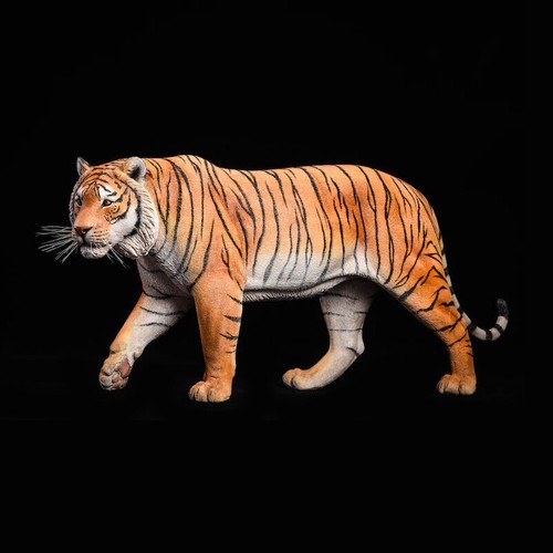 Jxk bengal tiger - 1/6,