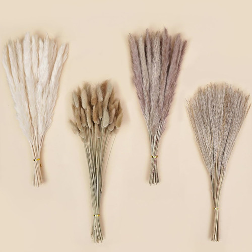 130pcs dried pampas grass - dried,