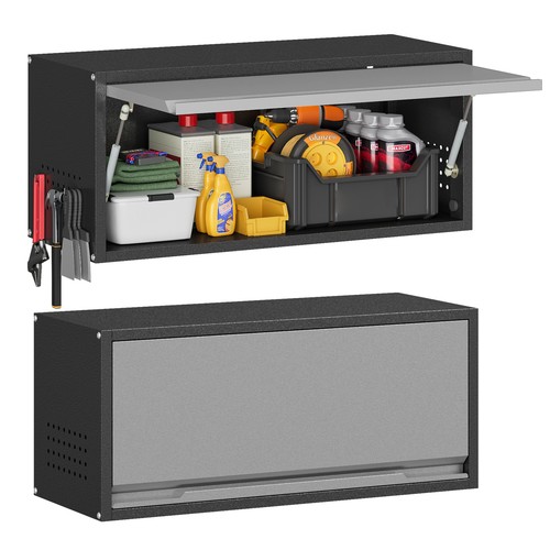 Garage wall cabinet with - cabinet, door