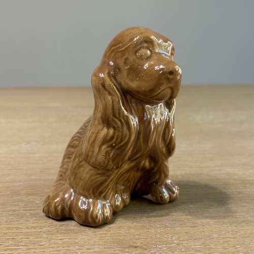 Brown cocker spaniel - cocker,