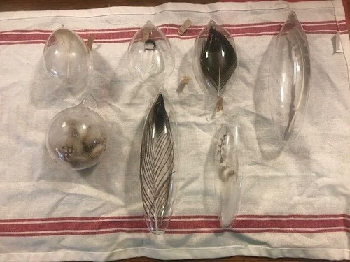 Glass encased feathers - glass,