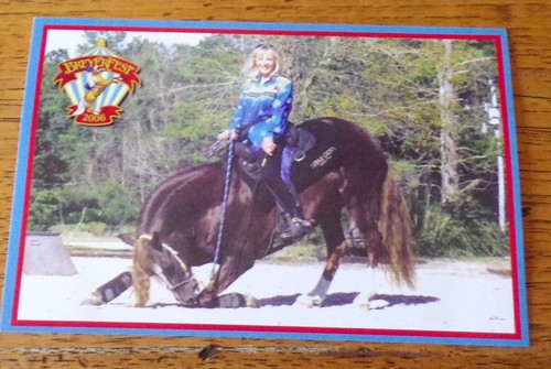 Breyerfest 2006 postcard - 2006,