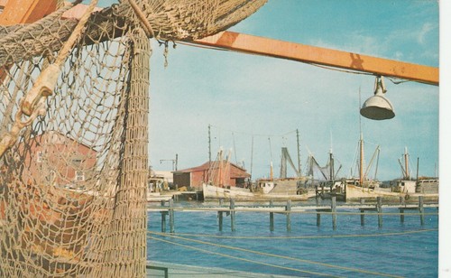 Picturesque scene gulf coast - scene,