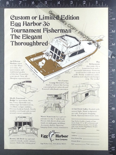1977 advertising for egg - for,