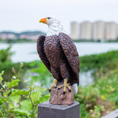 Bald eagle statue - statue,