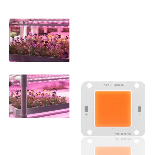 50w 12v grow - 50w, lights