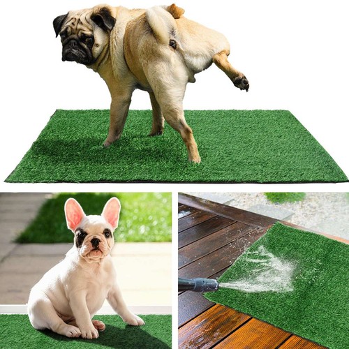 Pcs puppy dog - dog, potty