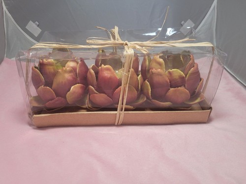 Nib pack plastic artichokes - pack,