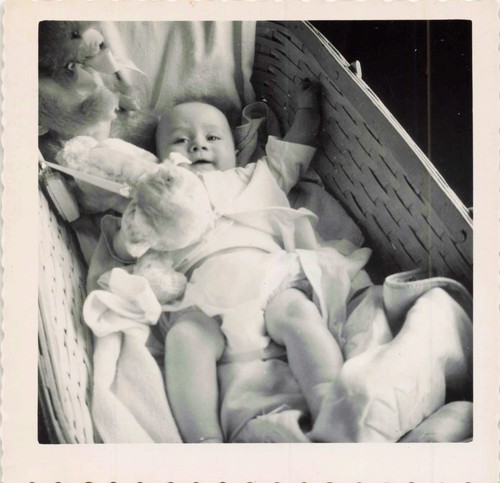 Vtg photo cute young baby - photo,