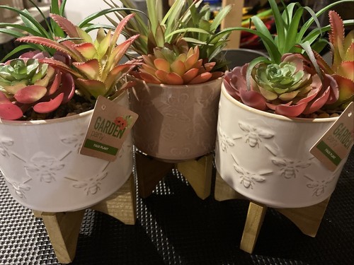 Artificial plants fake in - artificial,