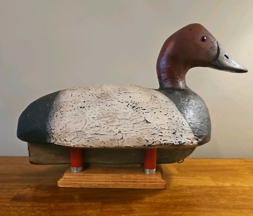 Large vintage canvasback duck - vintage,