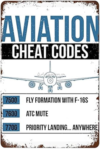 Funny aviation cheat - funny, fun