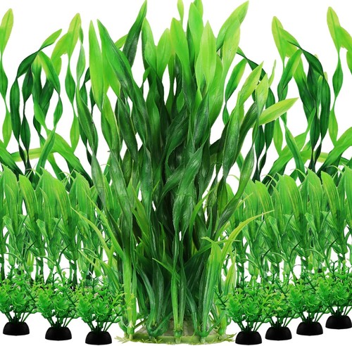 Aquarium plants fish tank - plants,