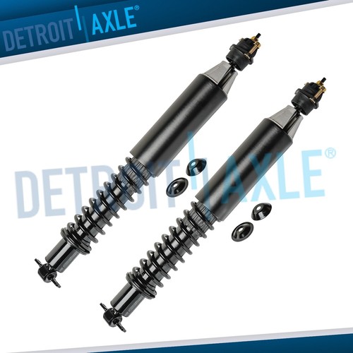 Rear strut coil - rear,