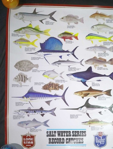 Saltwater record catches lone - catches,