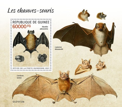 Bats