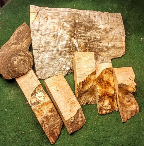 Figured maple burl wood - 2,