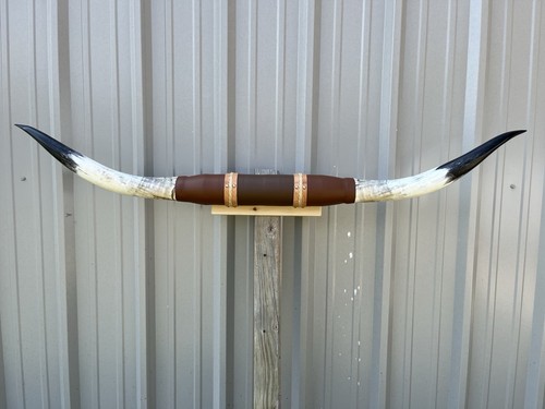Mounted steer horns feet - 5,