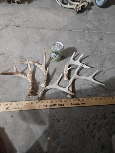 Lot small craft - of, wild