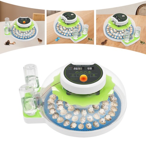 Egg incubator for hatching - egg,