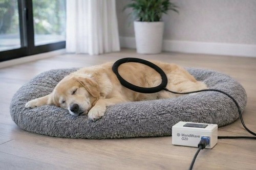Pemf therapy device for - therapy, |