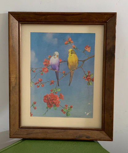 Vintage parakeets and flowers - vintage,