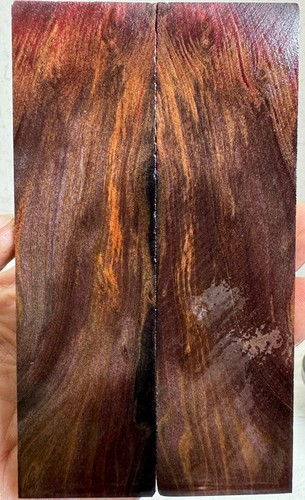 Stabilized old growth redwood - stabilized,